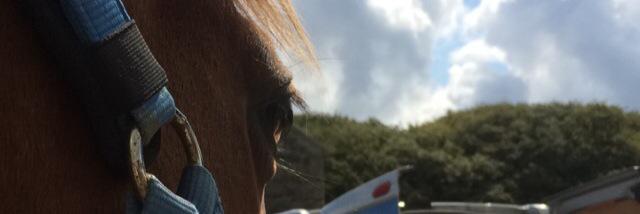 ChloeAdrien's profile banner image