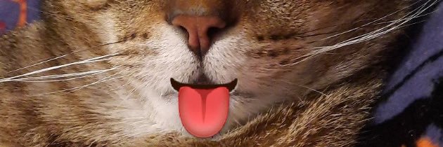 MissEricaCC's profile banner image
