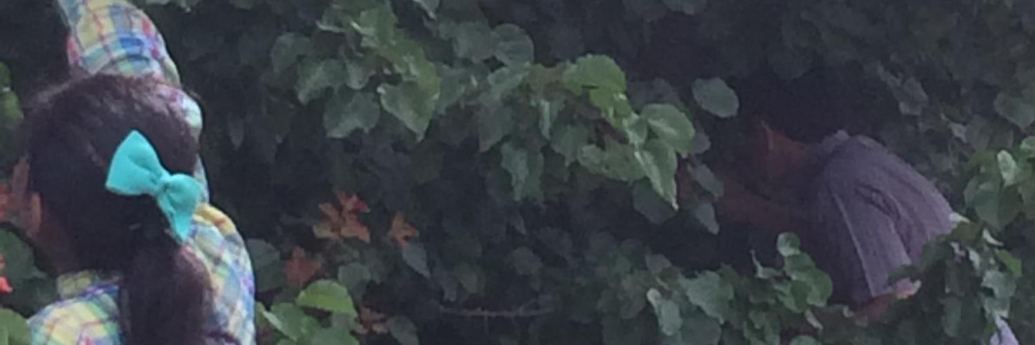nafla915's profile banner image