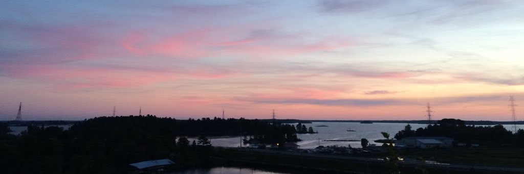 Hailey Beaudry banner