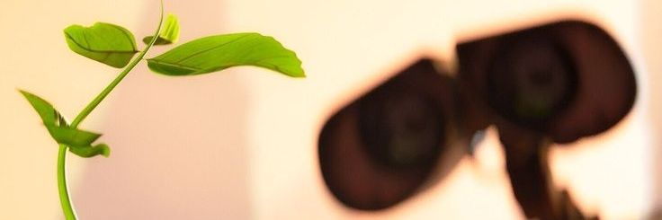 wilwarjnd's profile banner image