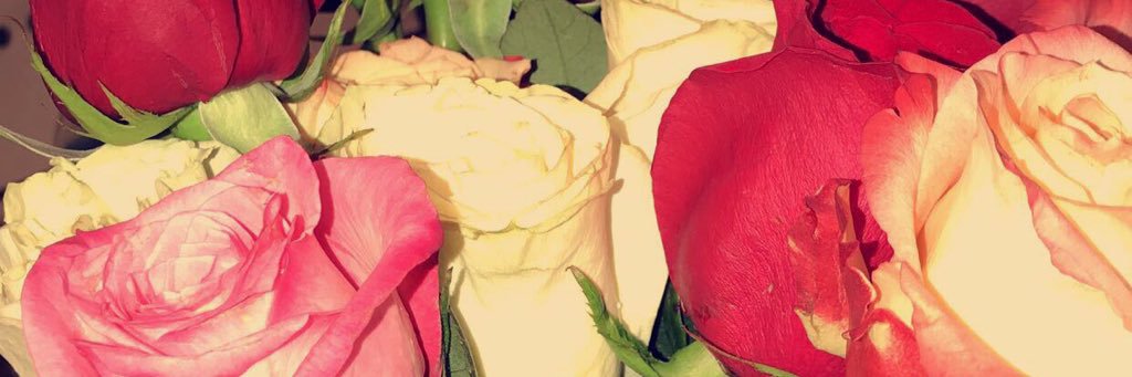 chayonatheprtty's profile banner image