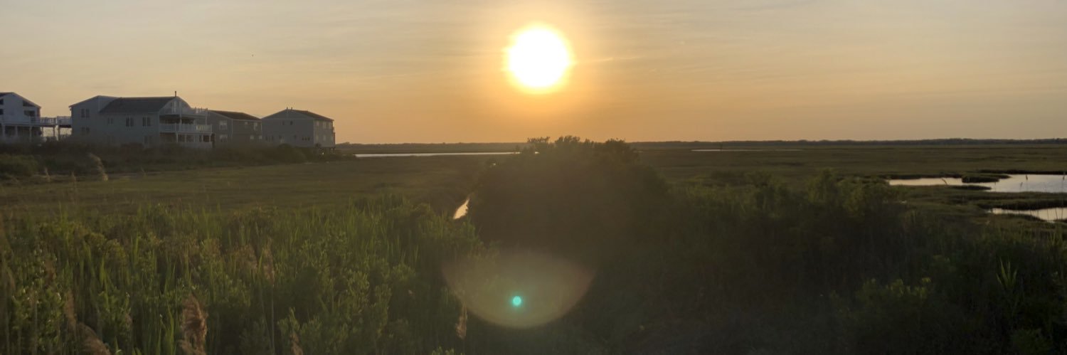 Meghan Johnson, MA, LAPC, LAT, ATC banner