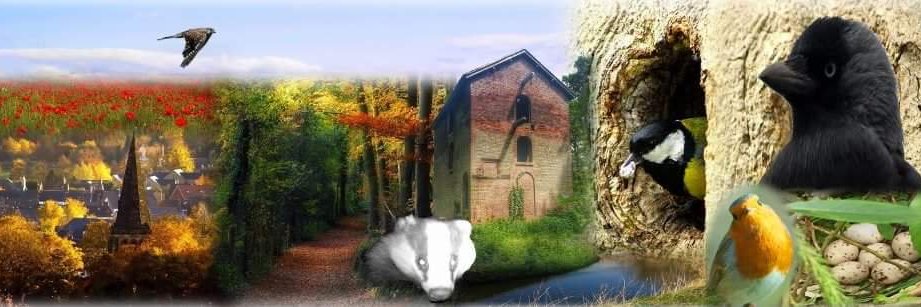 GroundAirPhoto's profile banner image
