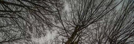 isabel_lamar's profile banner image