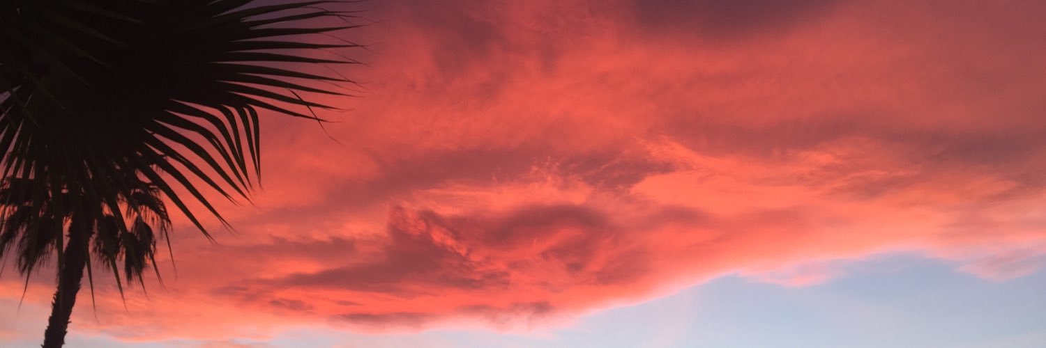 devamom's profile banner image