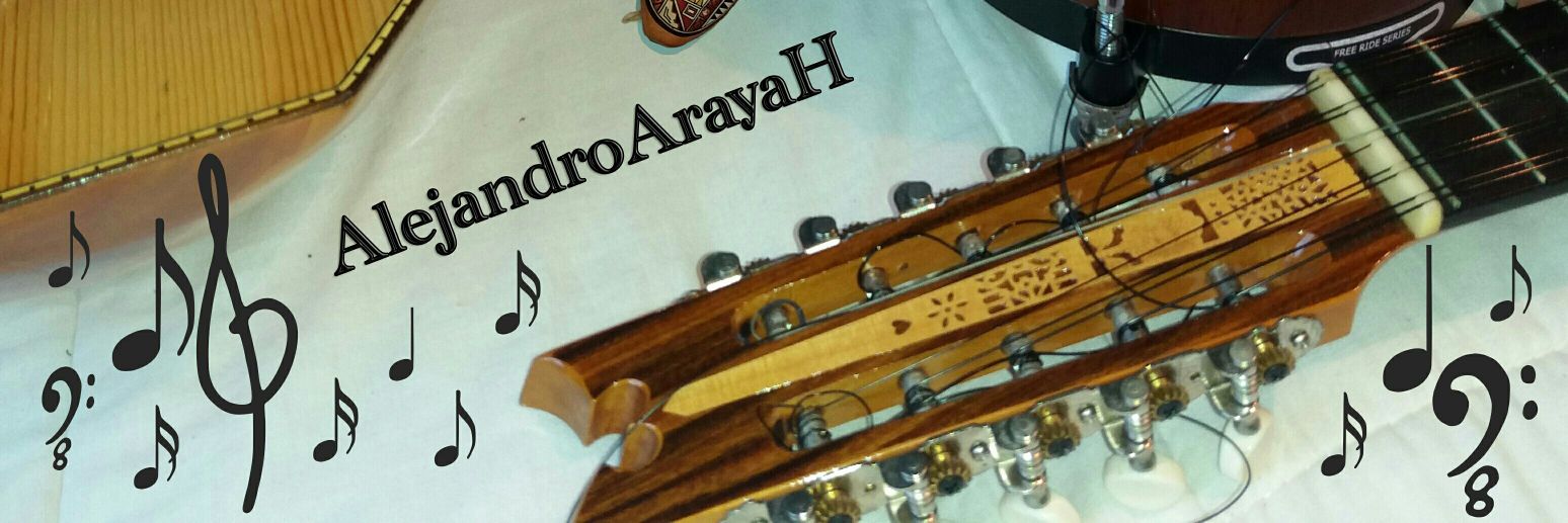 AlejandroArayaH's profile banner image