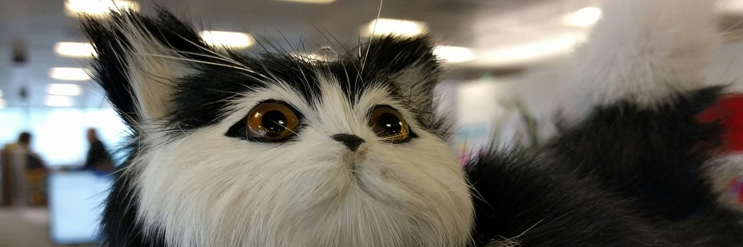 craloysius's profile banner image