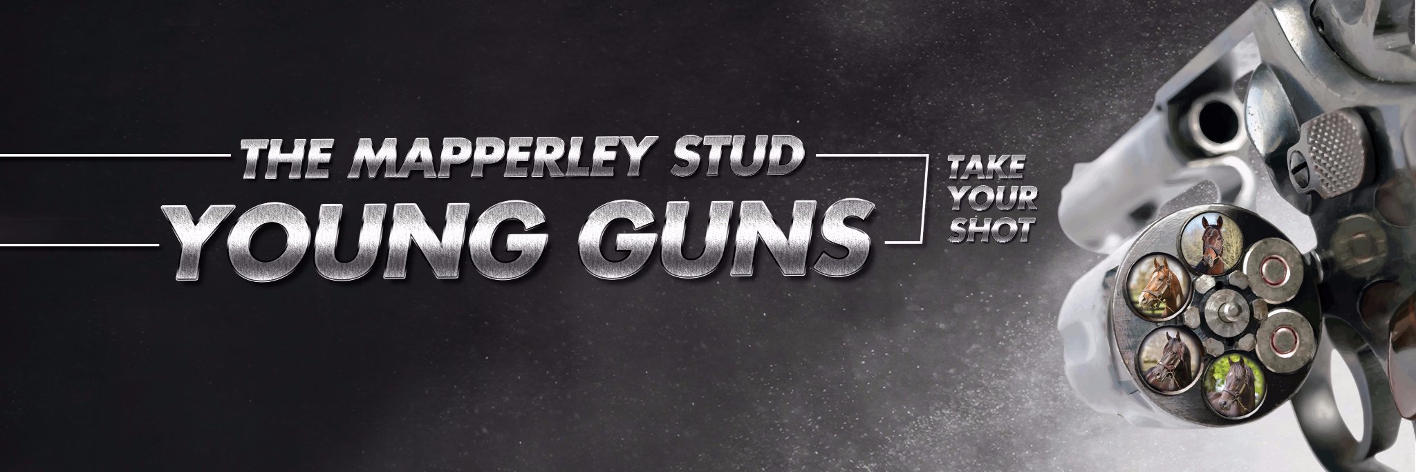 Mapperley Stud banner
