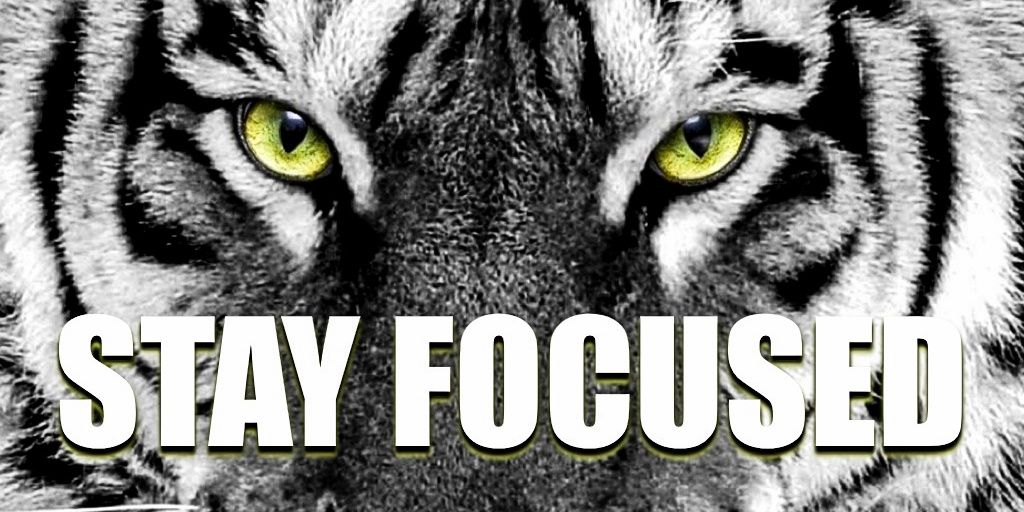 FocusedCampaign's profile banner image