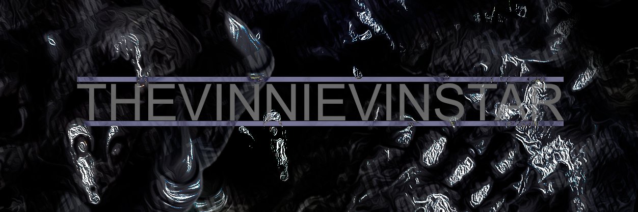 thevinnievinsta's profile banner image