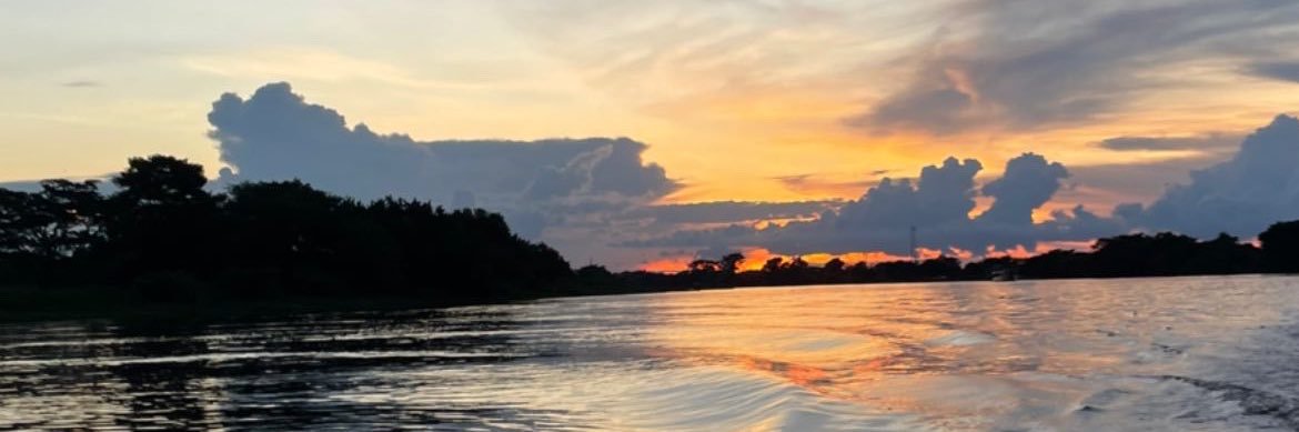 anipeniche's profile banner image