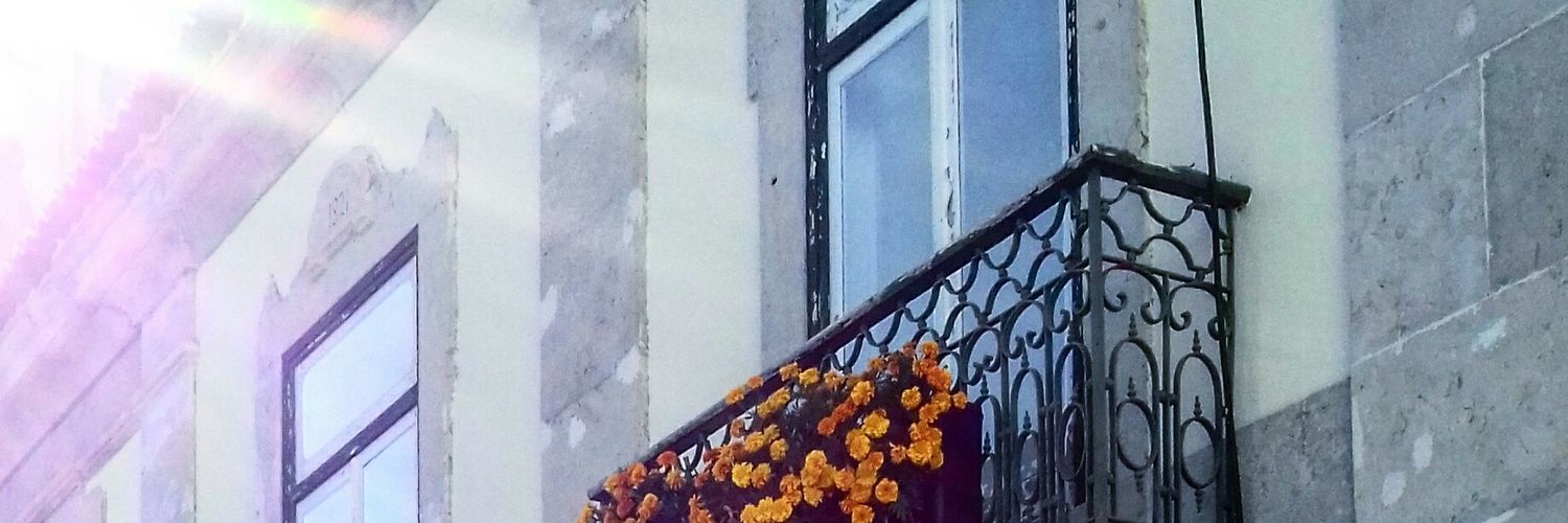 Maria_llopess's profile banner image
