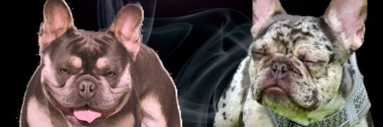 BillyShmack's profile banner image