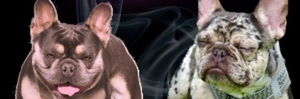 BillyShmack Profile Banner