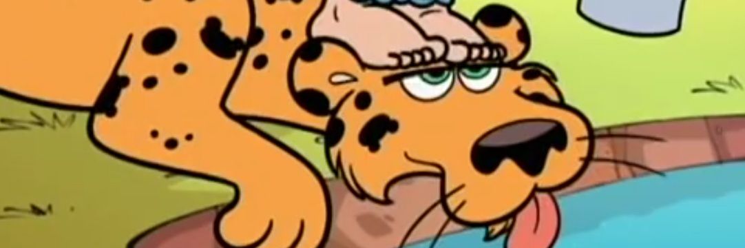 onça pintuda banner