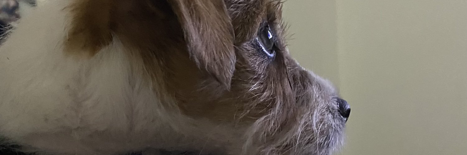 ernolla_'s profile banner image