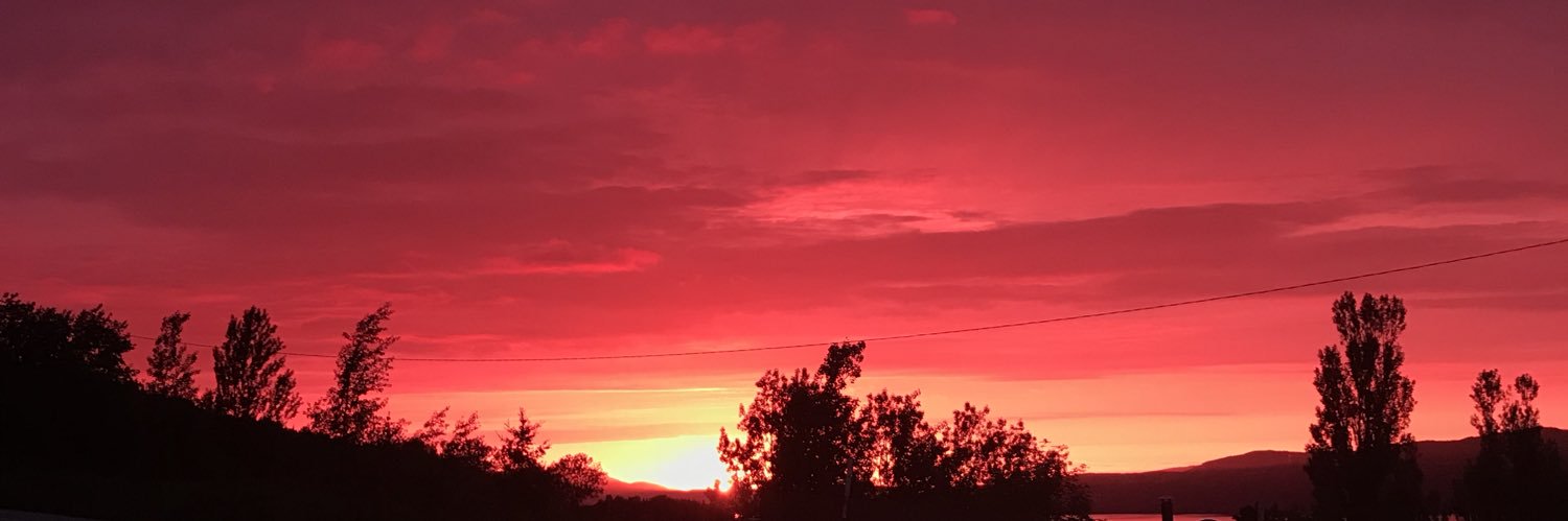 Renee Steeves banner