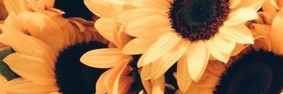 Andrehc97's profile banner image