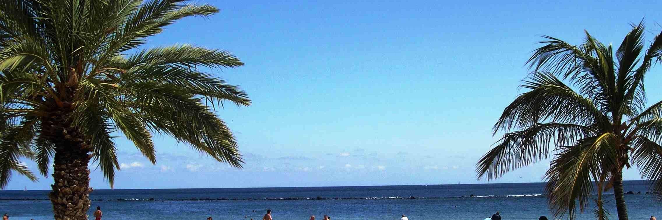 Marissa Anwar banner