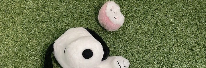 misa_miley's profile banner image