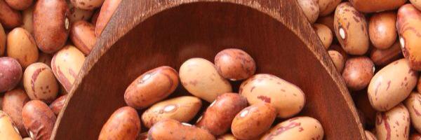 pintobeanfacts's profile banner image
