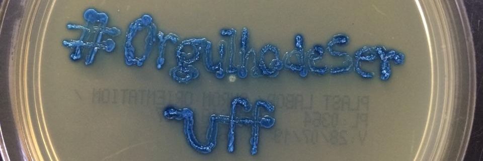 chellribeiro's profile banner image