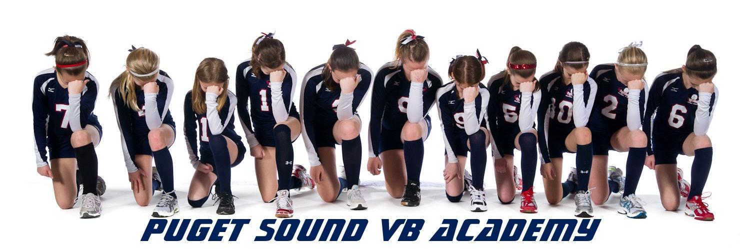 Puget Sound VBA banner