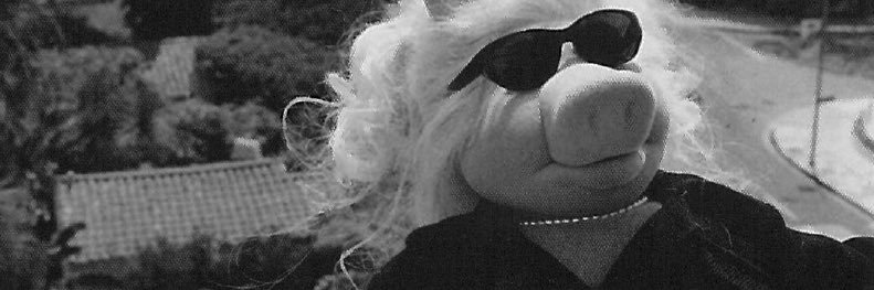 chynna banner
