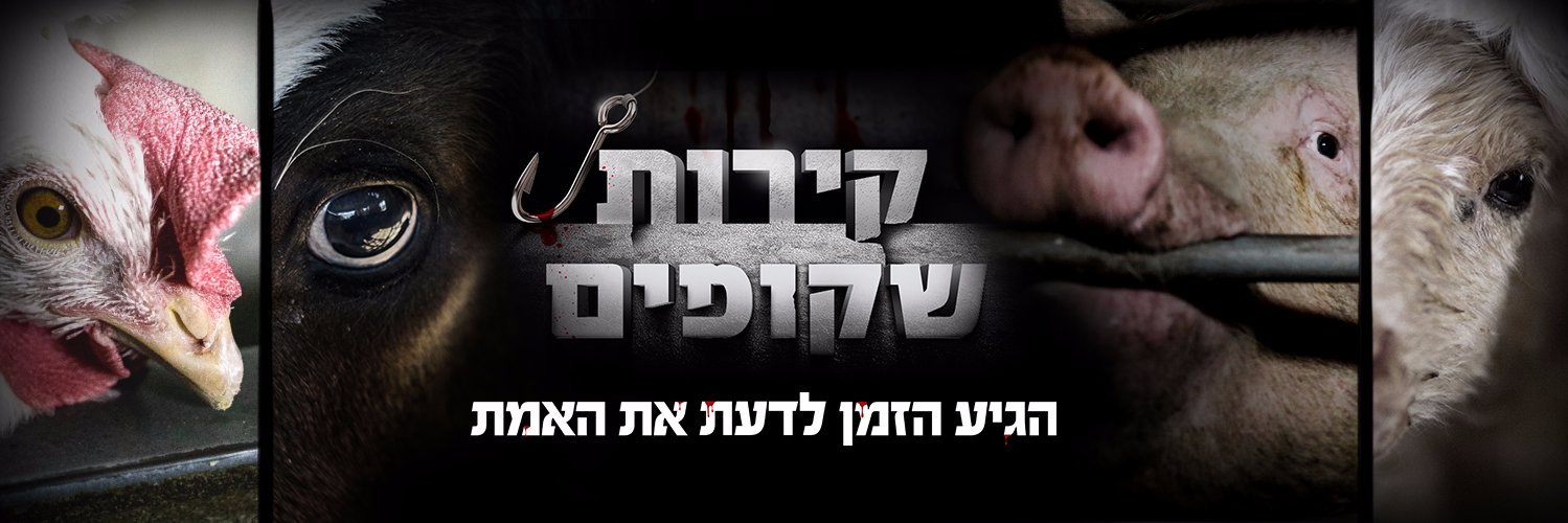 קירות שקופים banner