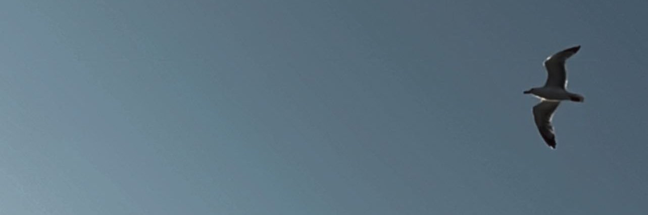 Tombertrand_'s profile banner image