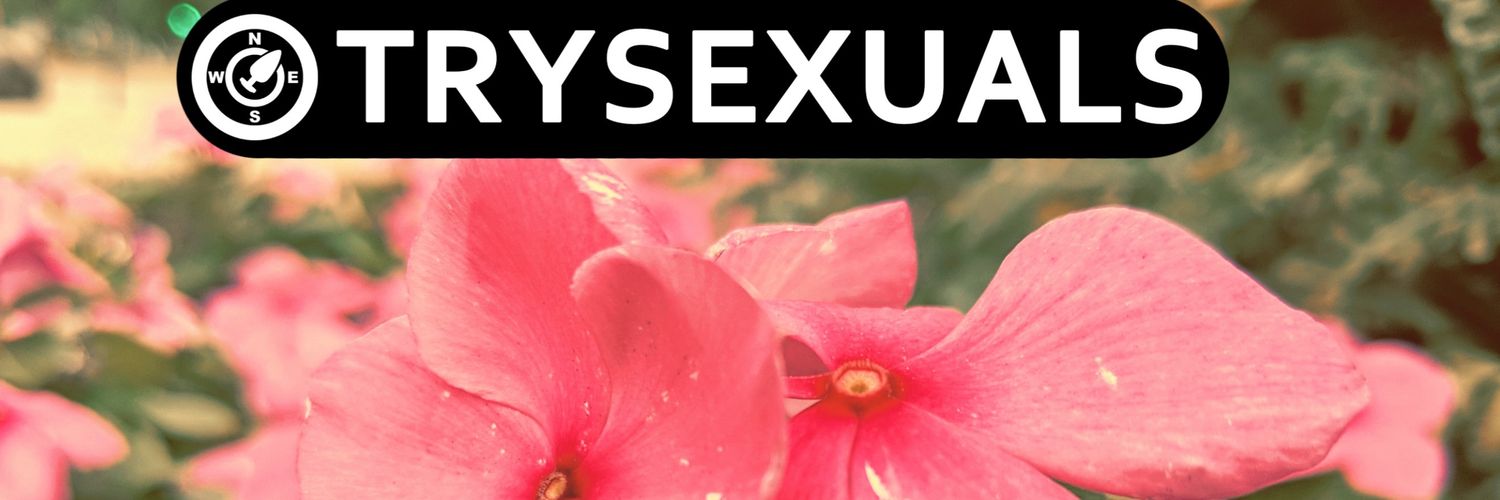 LillyChameleon's profile banner image