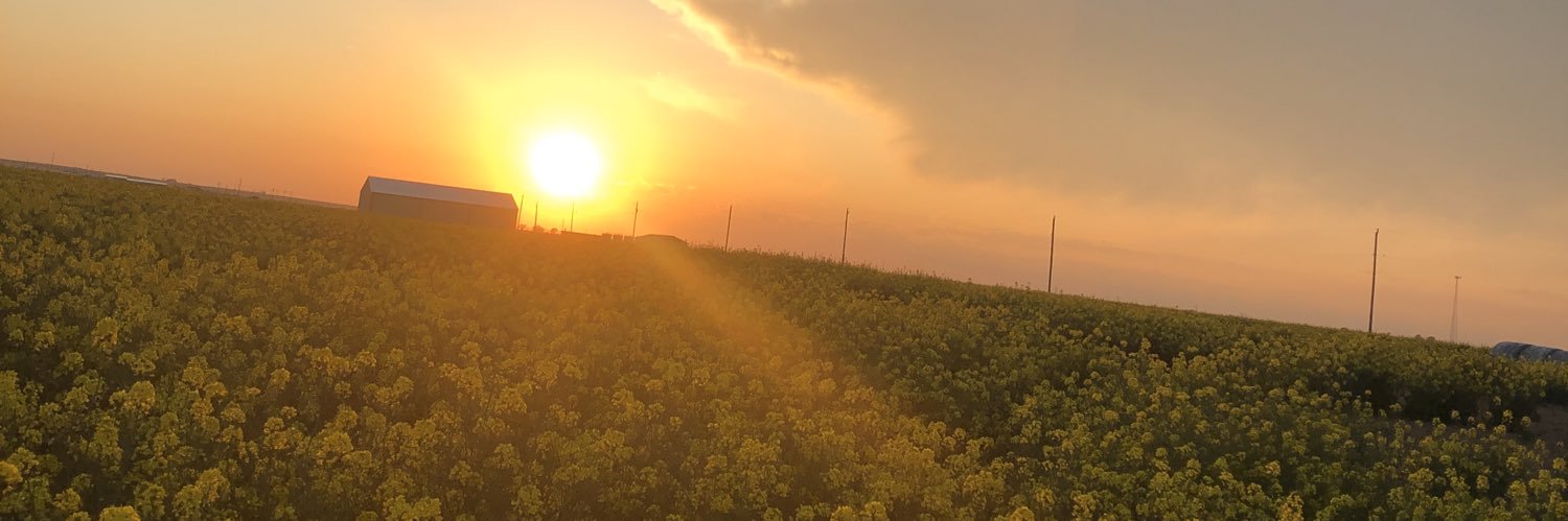 Emilyryan08's profile banner image