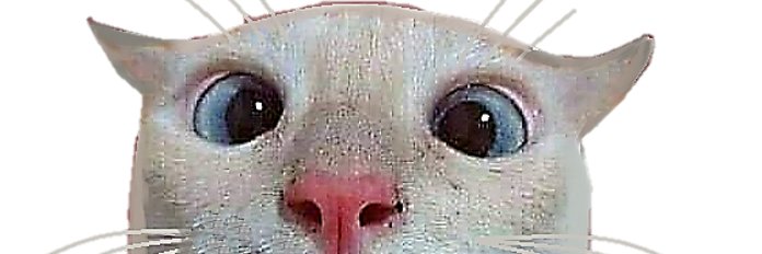 eltiobarrigon's profile banner image