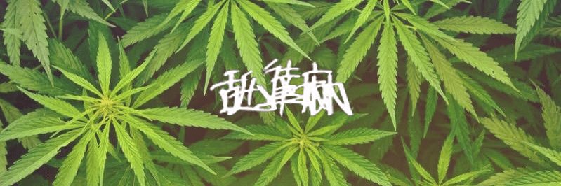 chobi_reggae's profile banner image