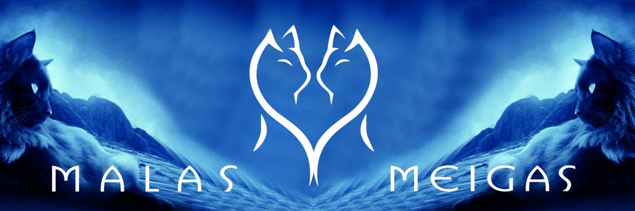 MalasMeigas's profile banner image