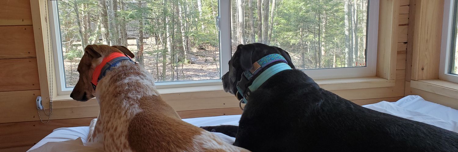 Al Elizabeth, LICSW banner