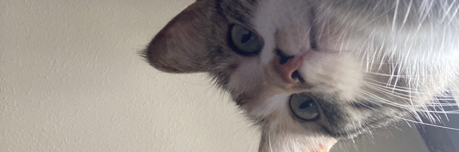 soupinthetub's profile banner image