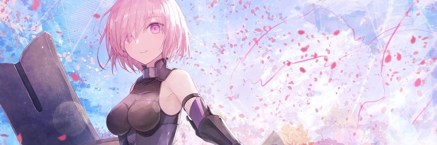 TransientShield's profile banner image