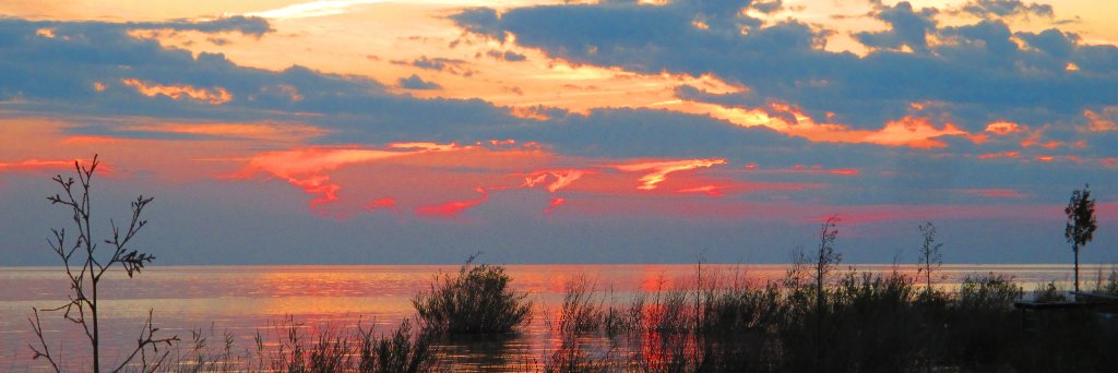 YvonneBieman's profile banner image
