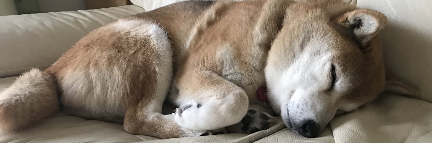 Princemame's profile banner image