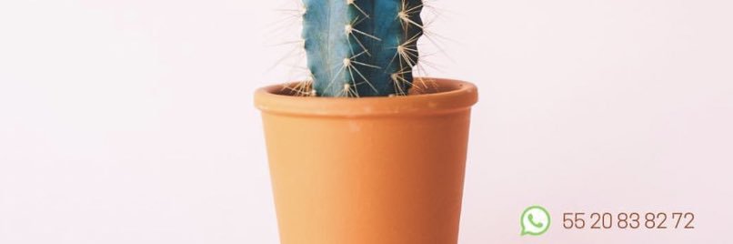 @psicologiaclinica banner