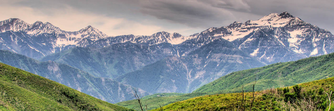 Rick Lindquist banner