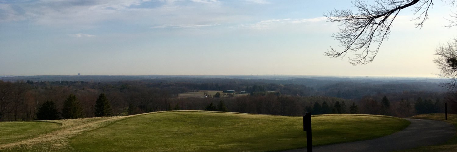 Diane Des🌹 banner