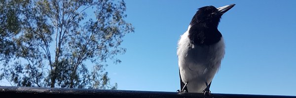 SusSumHum Profile Banner