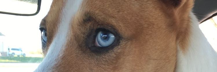mase_dizzle's profile banner image