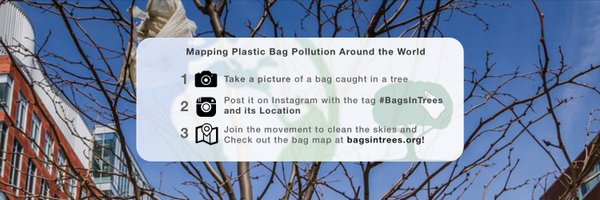 bagsintrees Profile Banner