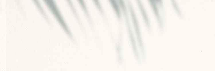 ecobosss's profile banner image