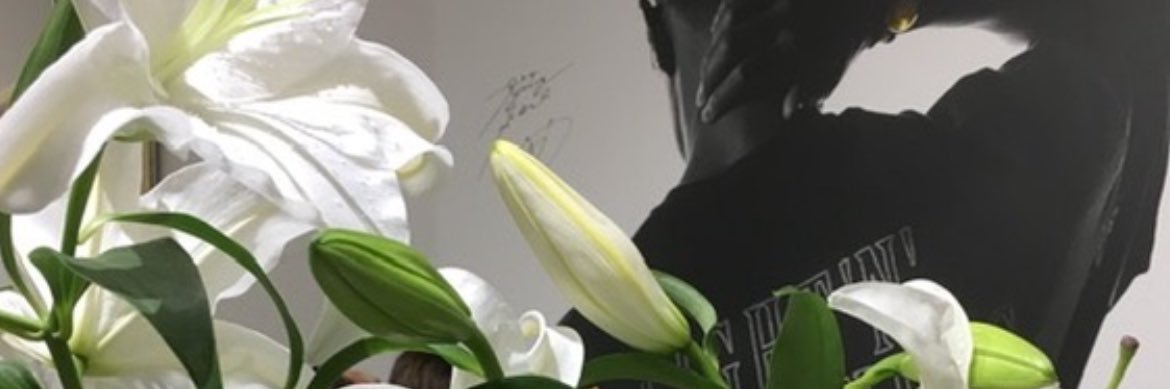rily__peony's profile banner image