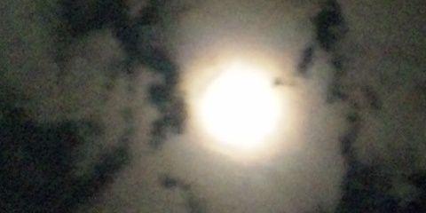 CLOM_4493's profile banner image